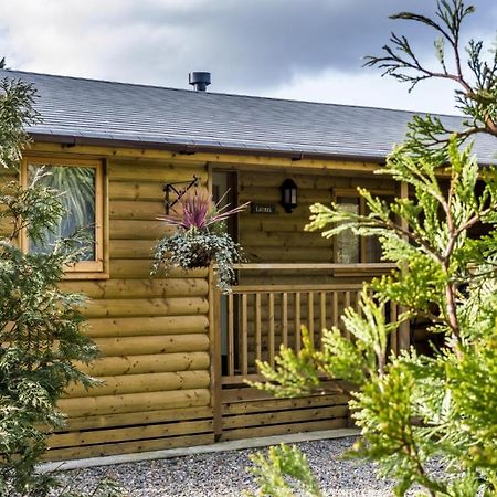 Laurel Lodge - 2 Bedroom Log Cabin - St Florence Saint Florence Exterior photo