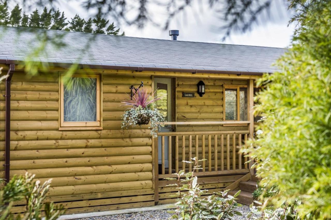 Laurel Lodge - 2 Bedroom Log Cabin - St Florence Saint Florence Exterior photo